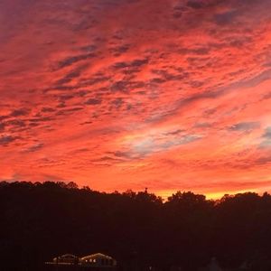 Meet your Posher, Scarlette